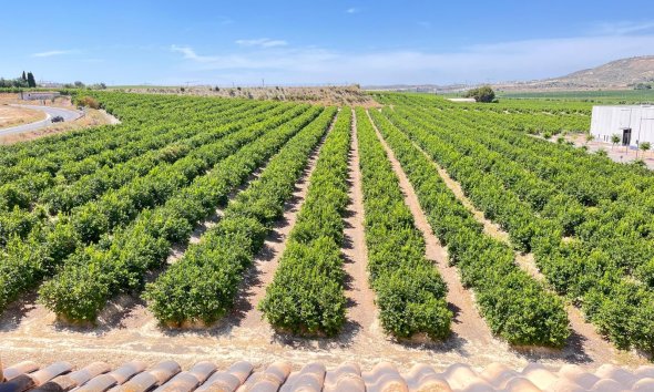 Revente - Apartment -
Algorfa - Inland