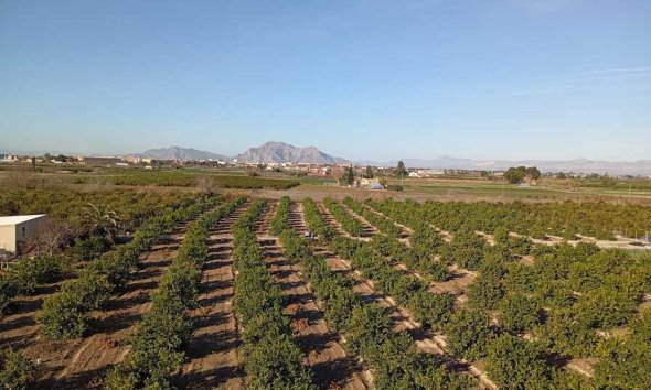 Reventa - Apartment -
Daya Nueva - Costa Blanca