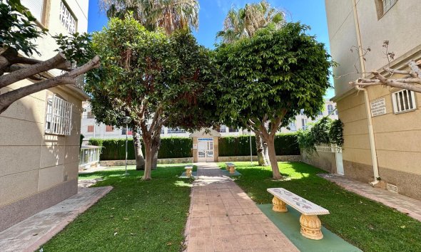 Revente - Apartment -
Torrevieja - Habaneras