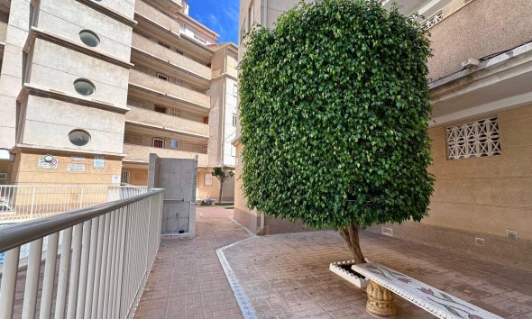 Revente - Apartment -
Torrevieja - Habaneras