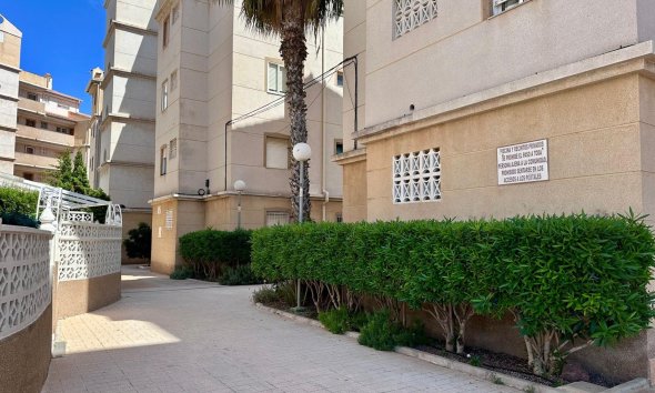 Revente - Apartment -
Torrevieja - Habaneras