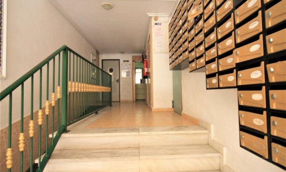 Reventa - Apartment -
Torrevieja - Centro