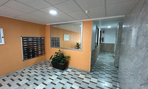 Revente - Apartment -
Torrevieja - Costa Blanca