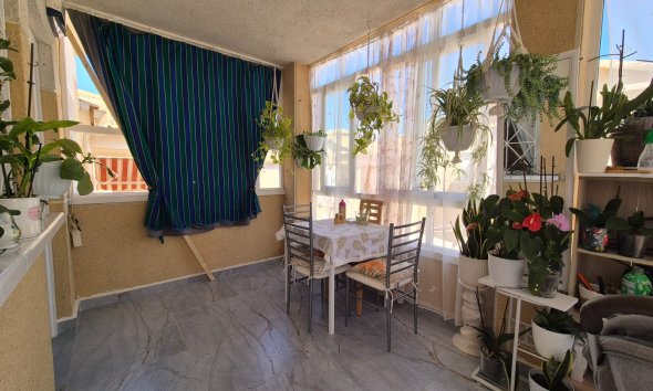 Resale - Bungalow -
Torrevieja - Costa Blanca