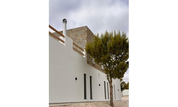 Nouvelle construction - Villa -
Pinoso - Casas Pastor