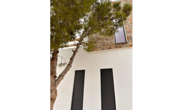 Nouvelle construction - Villa -
Pinoso - Casas Pastor