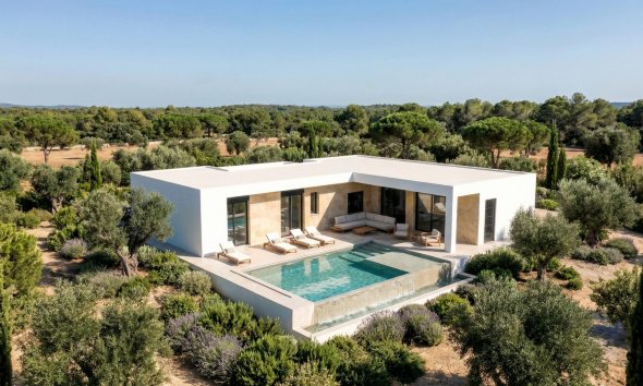 Nouvelle construction - Villa -
Pinoso - Casas Pastor