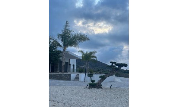 Nouvelle construction - Villa -
Pinoso - Casas Pastor