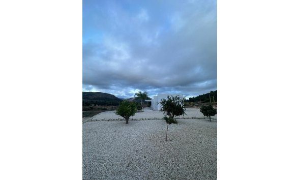 Nouvelle construction - Villa -
Pinoso - Casas Pastor