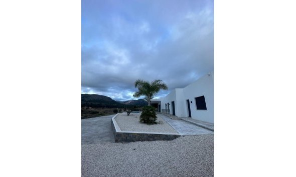 Nouvelle construction - Villa -
Pinoso - Casas Pastor