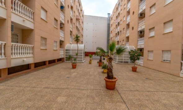 Revente - Apartment -
Torrevieja - Costa Blanca