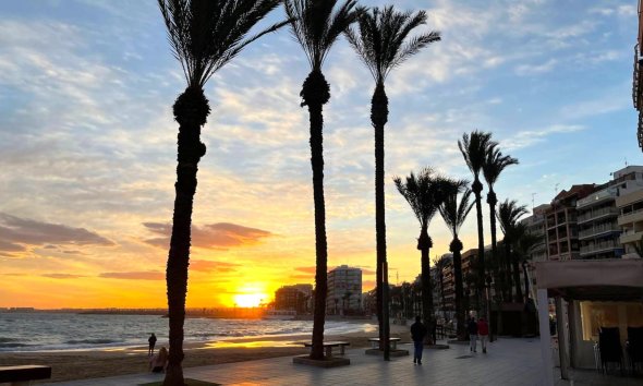 Revente - Apartment -
Torrevieja - Playa del Cura