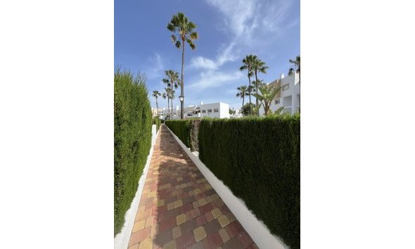 Reventa - Apartment -
Orihuela Costa - Villamartín