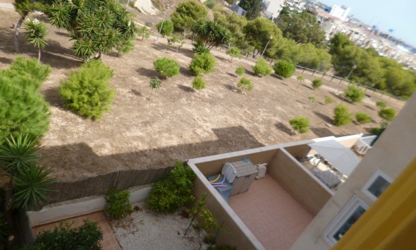 Reventa - Apartment -
Cabo Roig - Costa Blanca
