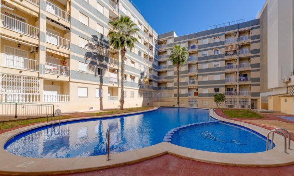 Reventa - Apartment -
Torrevieja - Centro