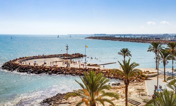 Reventa - Apartment -
Torrevieja - Centro