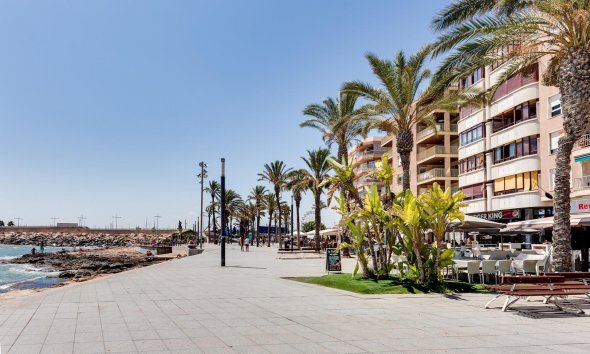 Reventa - Apartment -
Torrevieja - Centro