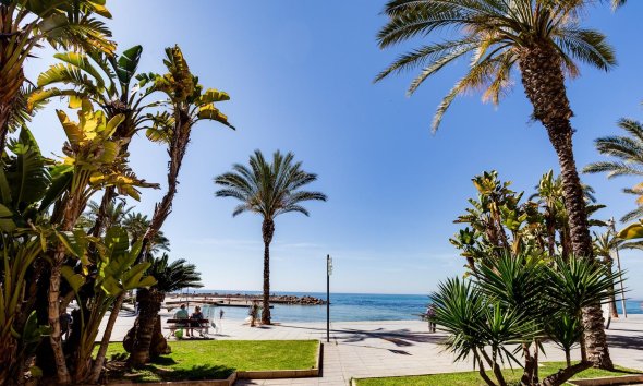 Reventa - Apartment -
Torrevieja - Centro