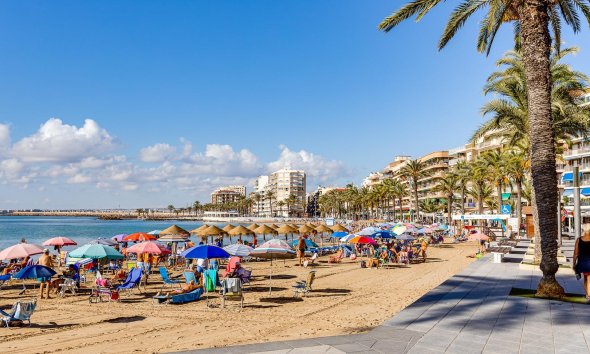 Reventa - Apartment -
Torrevieja - Centro