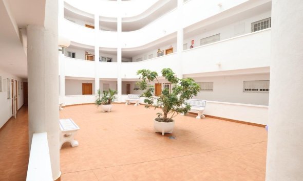 Revente - Apartment -
Torrevieja - Costa Blanca