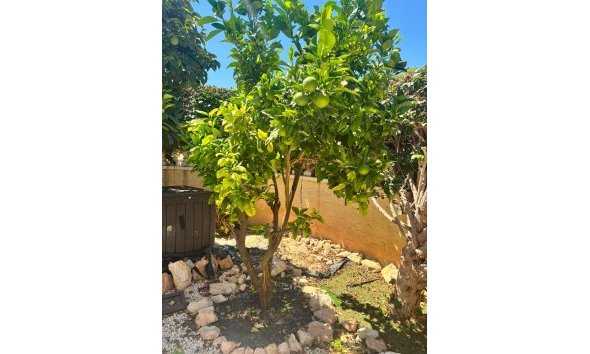Revente - Villa -
Orihuela Costa - Lomas de Cabo Roig