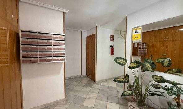 Revente - Apartment -
Torrevieja - Centro