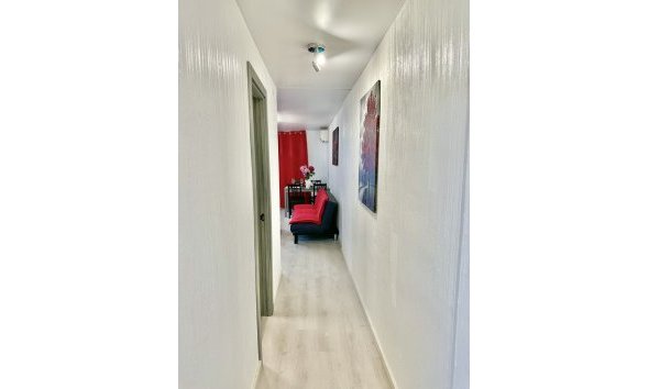 Revente - Apartment -
Torrevieja - Centro