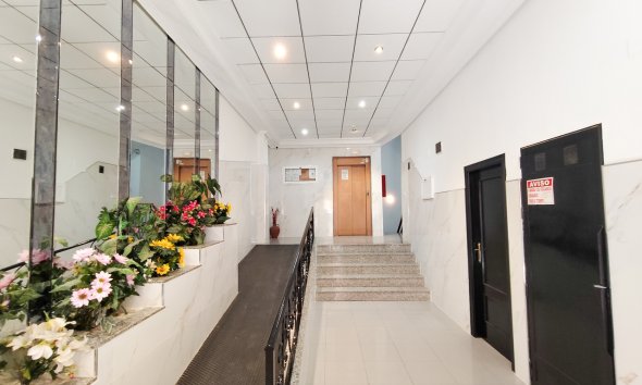 Revente - Apartment -
Torrevieja - Costa Blanca