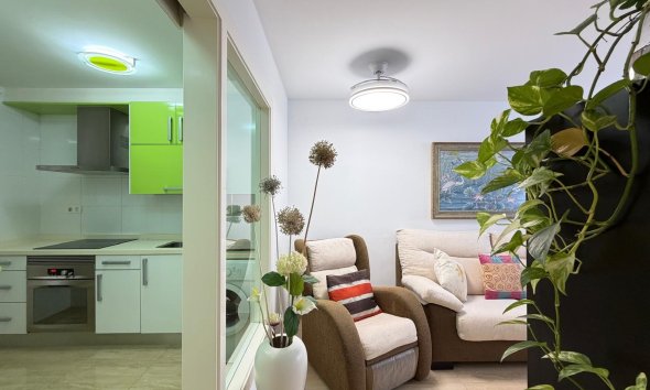 Revente - Apartment -
Torrevieja - Paseo Maritimo