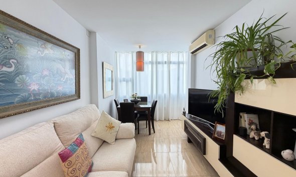 Revente - Apartment -
Torrevieja - Paseo Maritimo