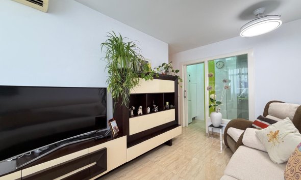 Revente - Apartment -
Torrevieja - Paseo Maritimo