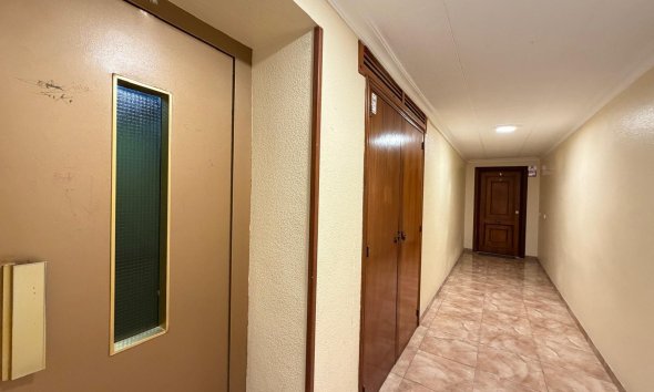 Revente - Apartment -
Torrevieja - Paseo Maritimo