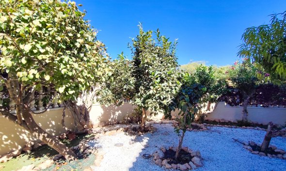 Reventa - Apartment -
Cabo Roig - Costa Blanca