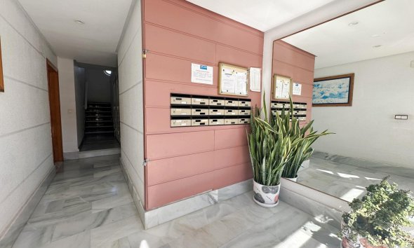 Reventa - Apartment -
Torrevieja