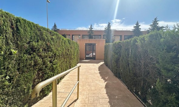 Reventa - Apartment -
Torrevieja