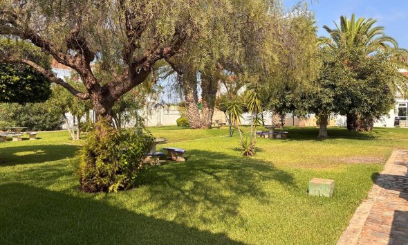 Revente - Apartment -
Los Almendros (Orihuela-Costa) - Costa Blanca