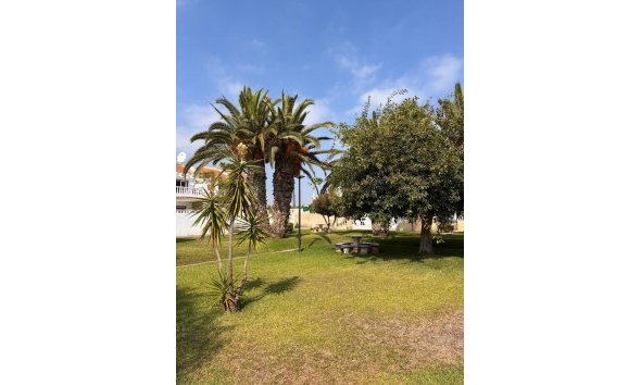 Revente - Apartment -
Los Almendros (Orihuela-Costa) - Costa Blanca