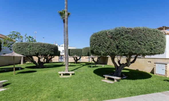Revente - Apartment -
Torrevieja - Costa Blanca