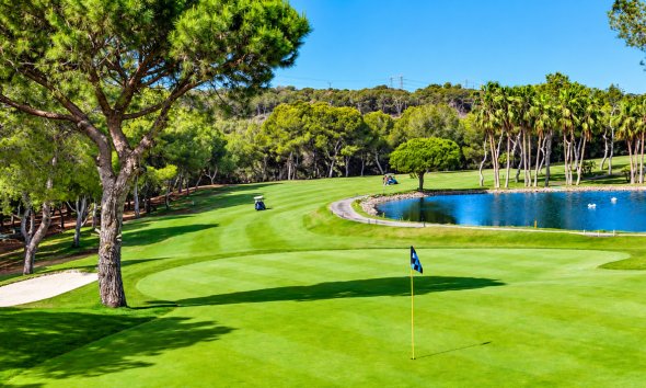 Revente - Apartment -
Cabo Roig - Costa Blanca