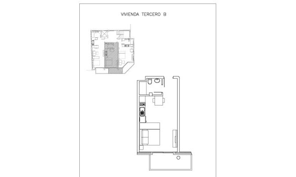 Nouvelle construction - Apartment -
Guardamar del Segura - Centro