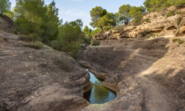 Revente - Bungalow -
Algorfa - Inland