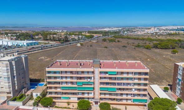 Revente - Apartment -
Torrevieja - Costa Blanca