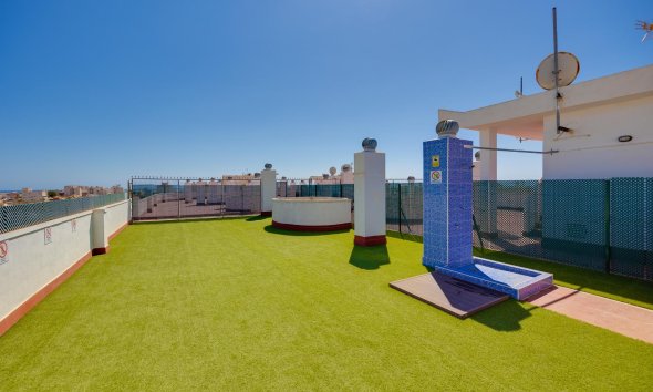 Revente - Apartment -
Torrevieja - Centro