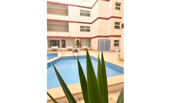 Reventa - Apartment -
Torrevieja - Centro