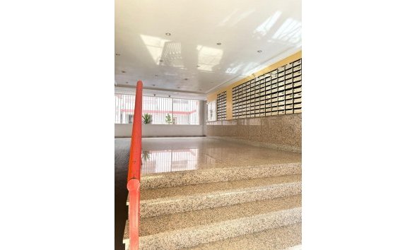 Reventa - Apartment -
Torrevieja - Centro