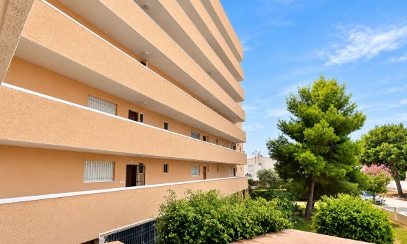 Reventa - Apartment -
La Zenia - Costa Blanca