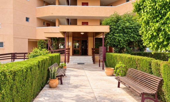 Reventa - Apartment -
La Zenia - Costa Blanca