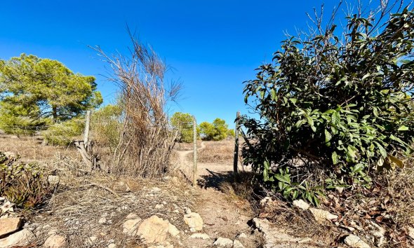 Resale - Town House -
Torrevieja - Costa Blanca