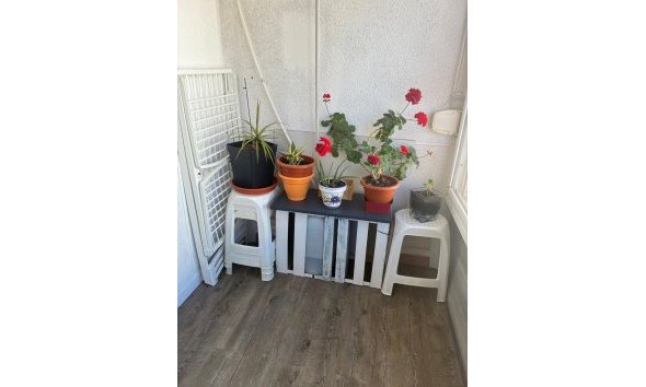 Resale - Apartment -
Torrevieja - Centro