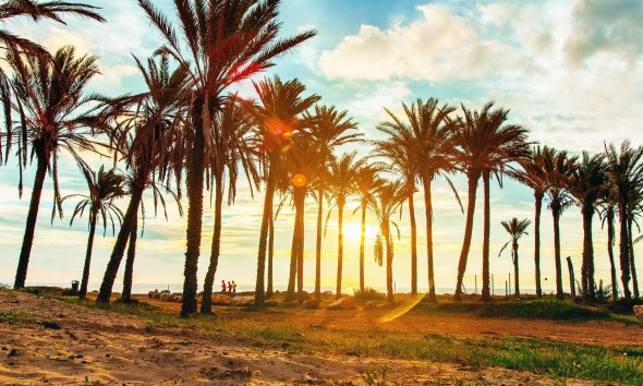 Revente - Bungalow -
Torrevieja - Los Balcones